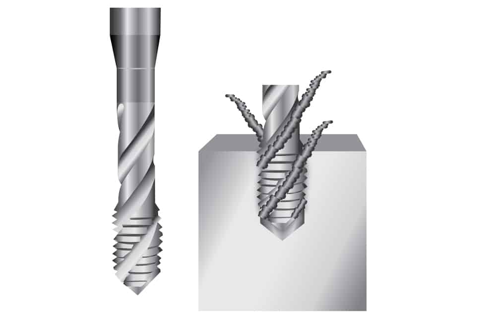 ดอกต๊าปร่องเลื้อย (Spiral Tap)